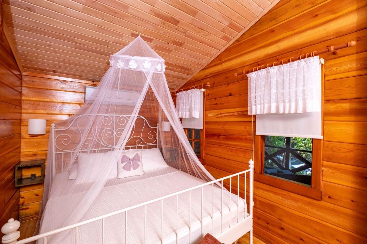 Portalimo Lodge Hotel - Adult Only +12 Çıralı 외부 사진