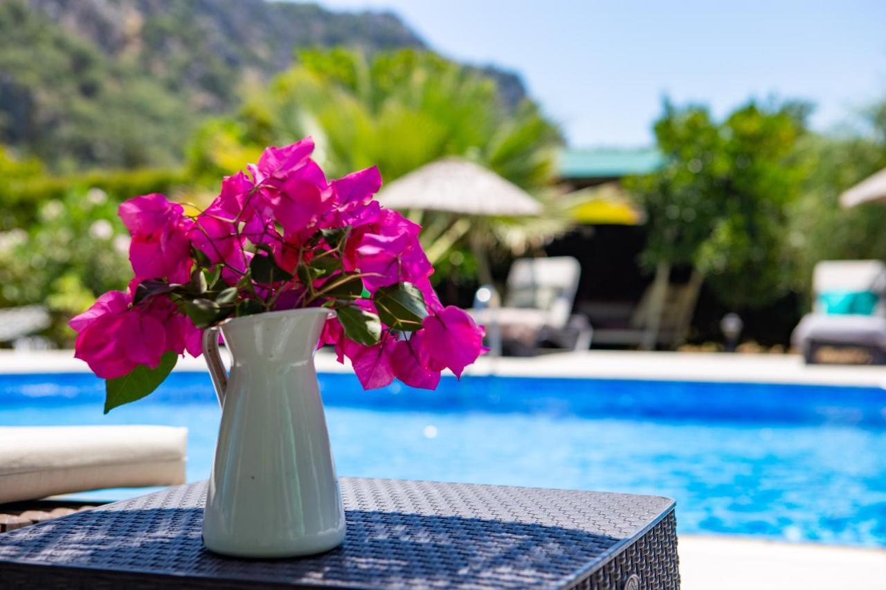 Portalimo Lodge Hotel - Adult Only +12 Çıralı 외부 사진