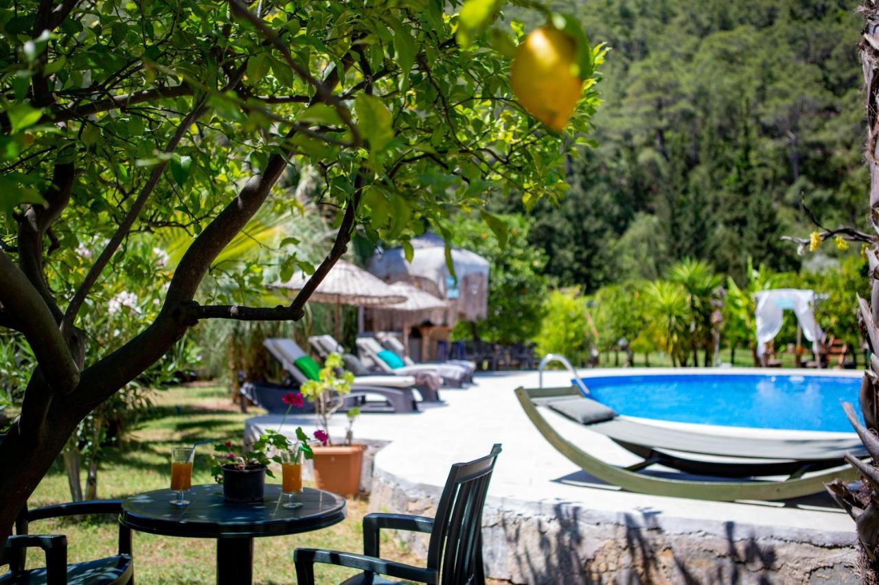 Portalimo Lodge Hotel - Adult Only +12 Çıralı 외부 사진