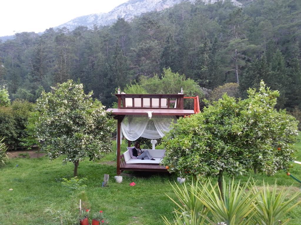 Portalimo Lodge Hotel - Adult Only +12 Çıralı 외부 사진