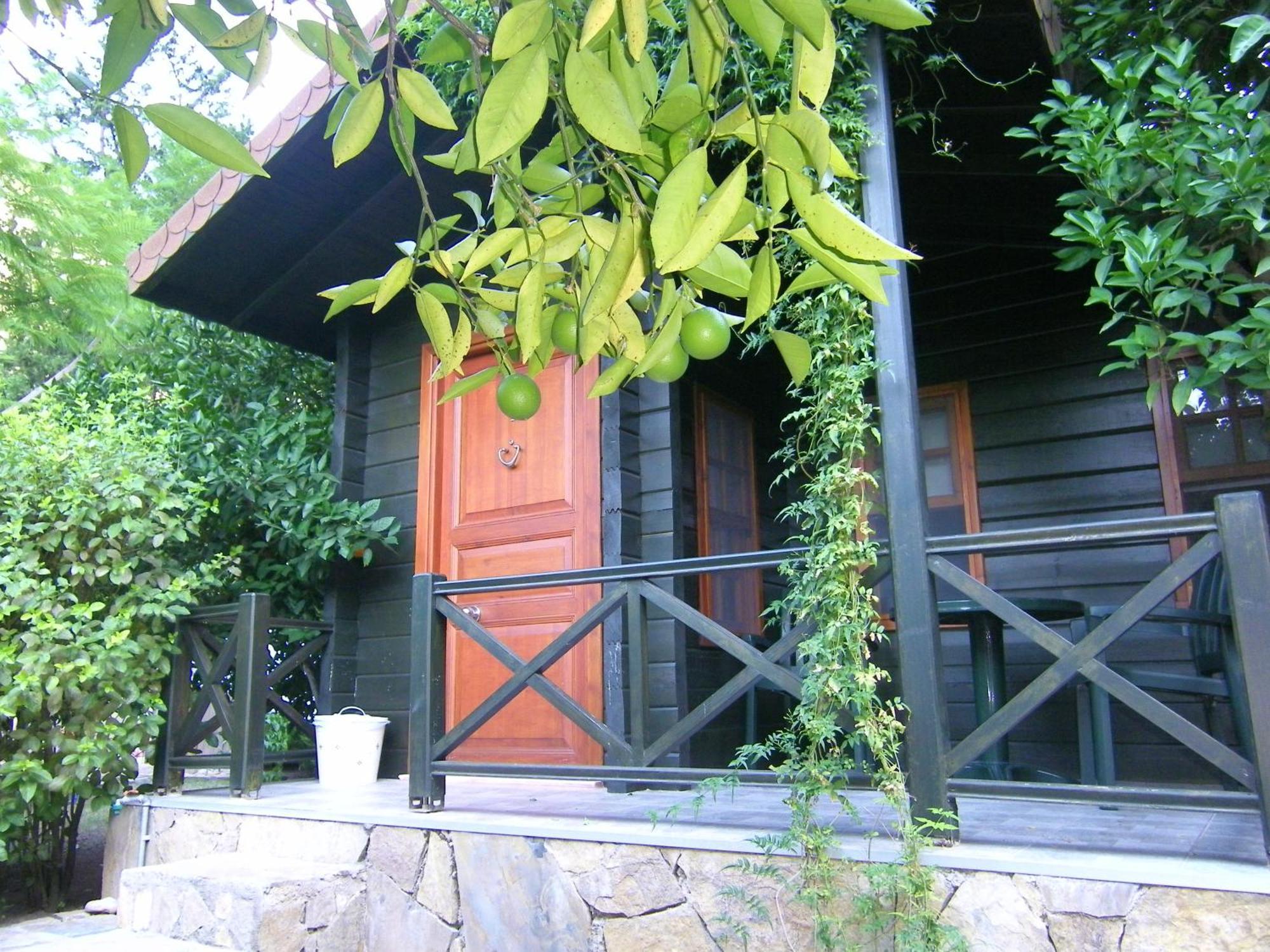Portalimo Lodge Hotel - Adult Only +12 Çıralı 외부 사진