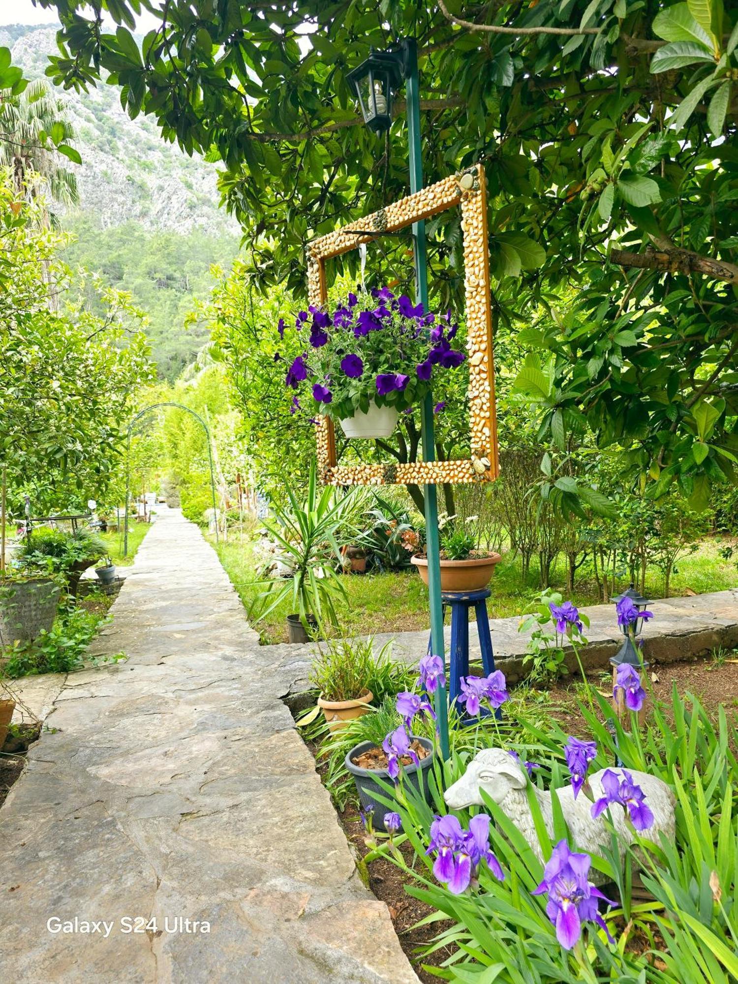 Portalimo Lodge Hotel - Adult Only +12 Çıralı 외부 사진