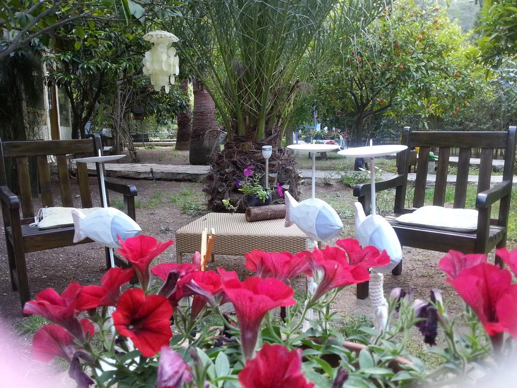 Portalimo Lodge Hotel - Adult Only +12 Çıralı 외부 사진